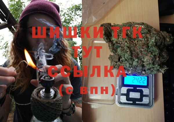 шишки Богородицк