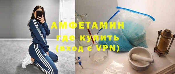 шишки Богородицк