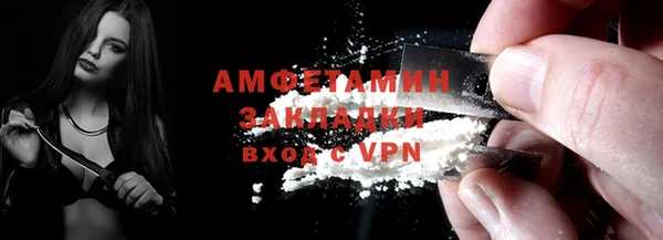 шишки Богородицк