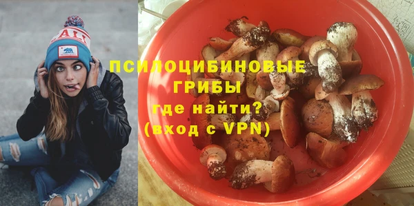 шишки Богородицк