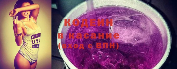 шишки Богородицк