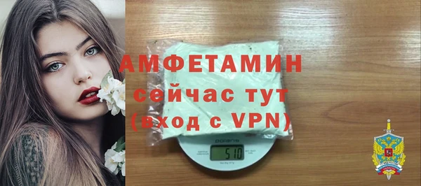PSILOCYBIN Бородино