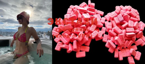 шишки Богородицк