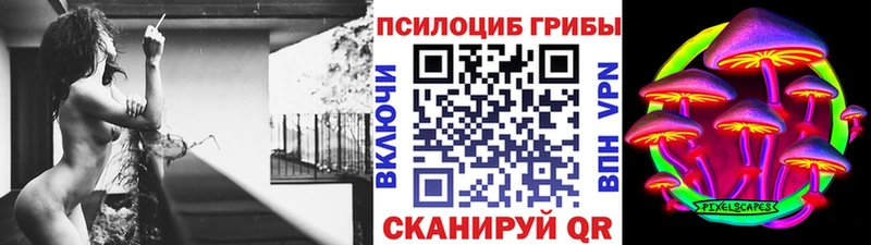 Галлюциногенные грибы Psilocybe Окуловка